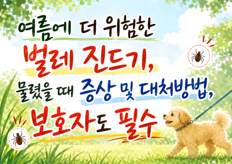  강아지 여름에 더 위험한 벌레 진드기, 물렸을 때 증상 및 대처방법, 보호자도 필수