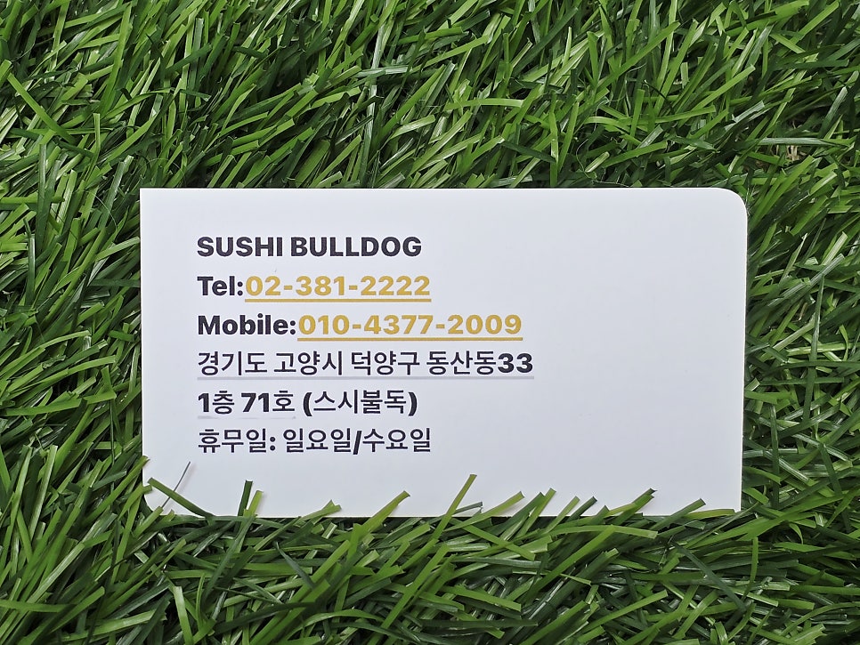 스시불독 사진 1