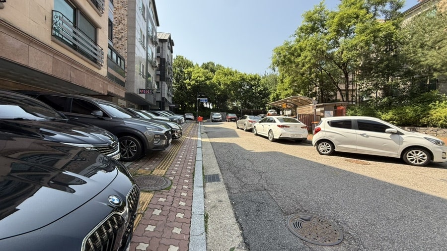 스시노아 사진 1