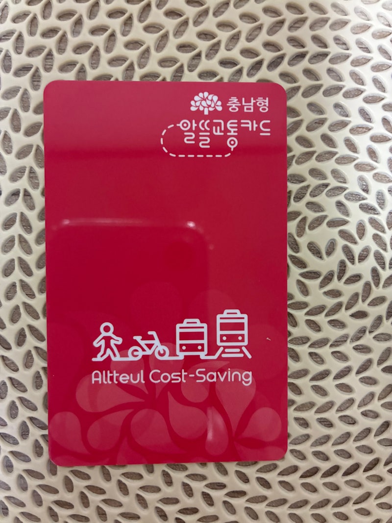 "매일 찍는 버스비 0원?6학년 아이 등록해 주다 발견한 '치명적 실수'3가지"
