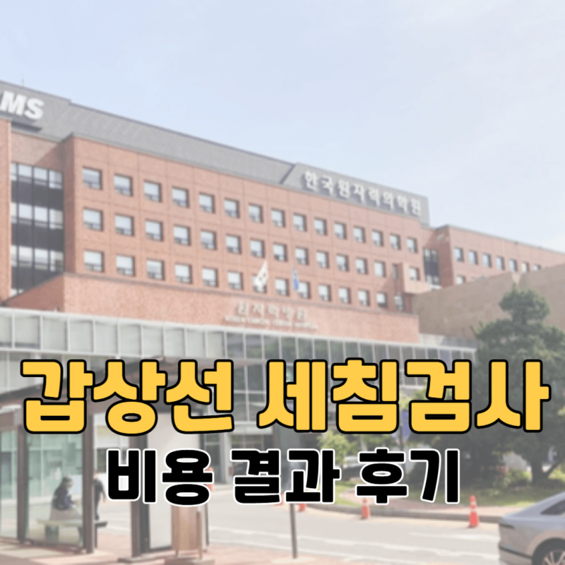 30대 여자 갑상선 세침검사 하고온 리얼후기 - 비용 결과 실비까지