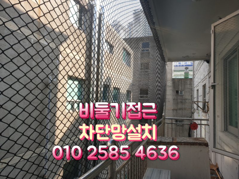 비둘기퇴치 좋은방법 아파트 빌딩 공장 상가 에어컨실외기실 비둘기방조망설치 청소 출장업....