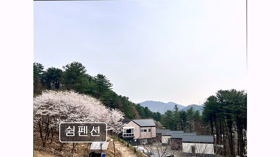 쉼펜션 사진 2