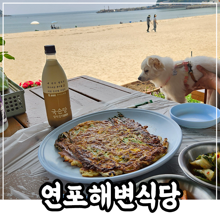 연포해수욕장 반려견동반 바지락칼국수 맛집 연포해변식당 ft 나솔사계 출연