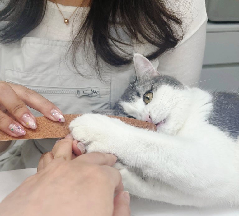 꾸움네일 사진 5