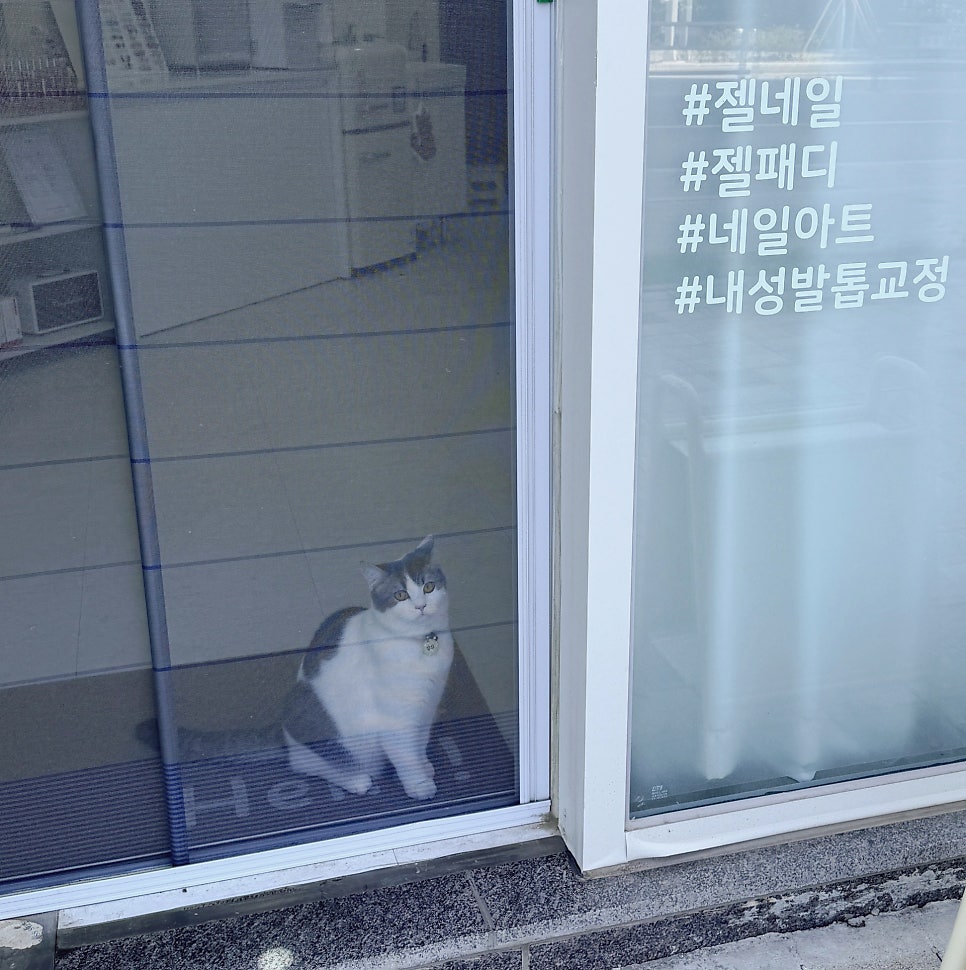 꾸움네일 사진 4