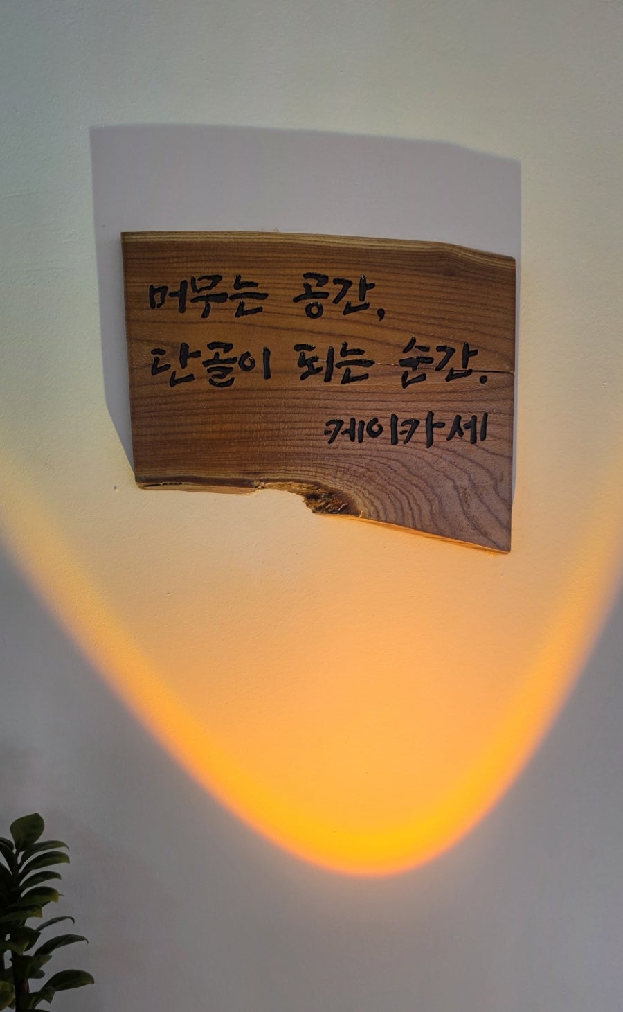 케이카세 사진 5