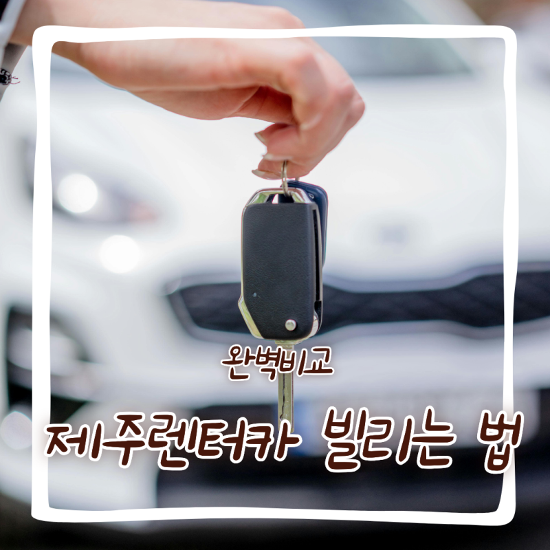 제주도 렌터카 완전 자차 빌리기 전 반드시 필독