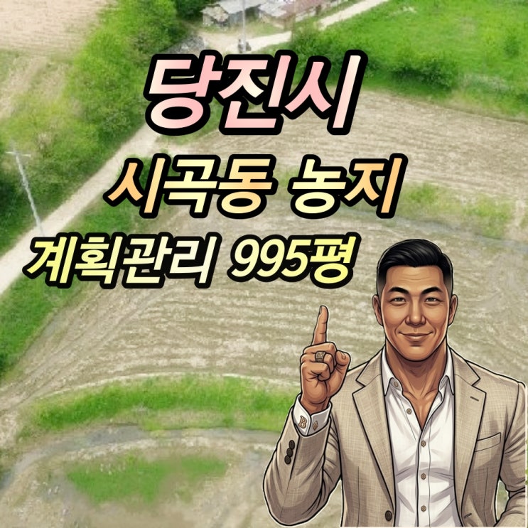  당진시 사곡동 1천평대 농지 경매 2025타경51318