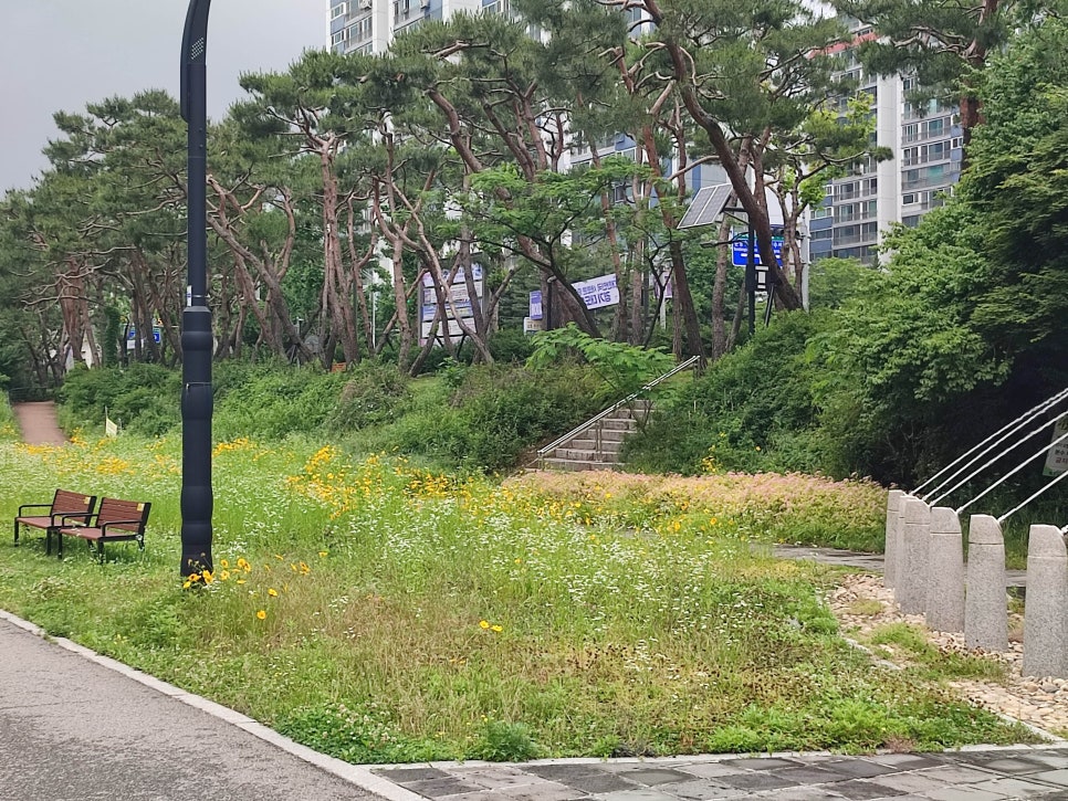 노브랜드 성남이매2점 사진 4