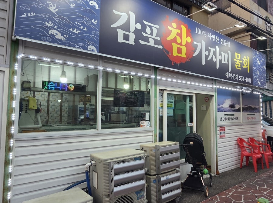감포참가자미 사진 1