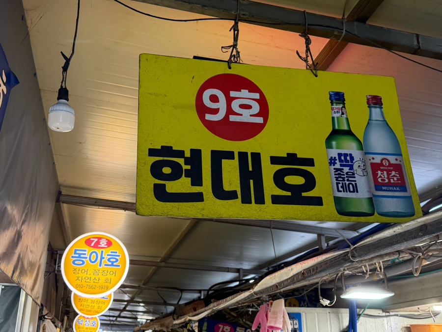 현대호 사진 2