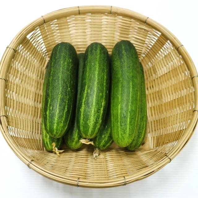 오이 꿈  여러 가지 상황별 해몽과 태몽의 상징
