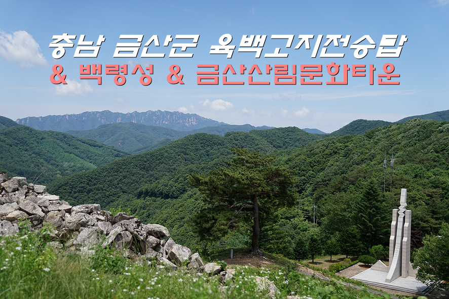 선야봉계곡