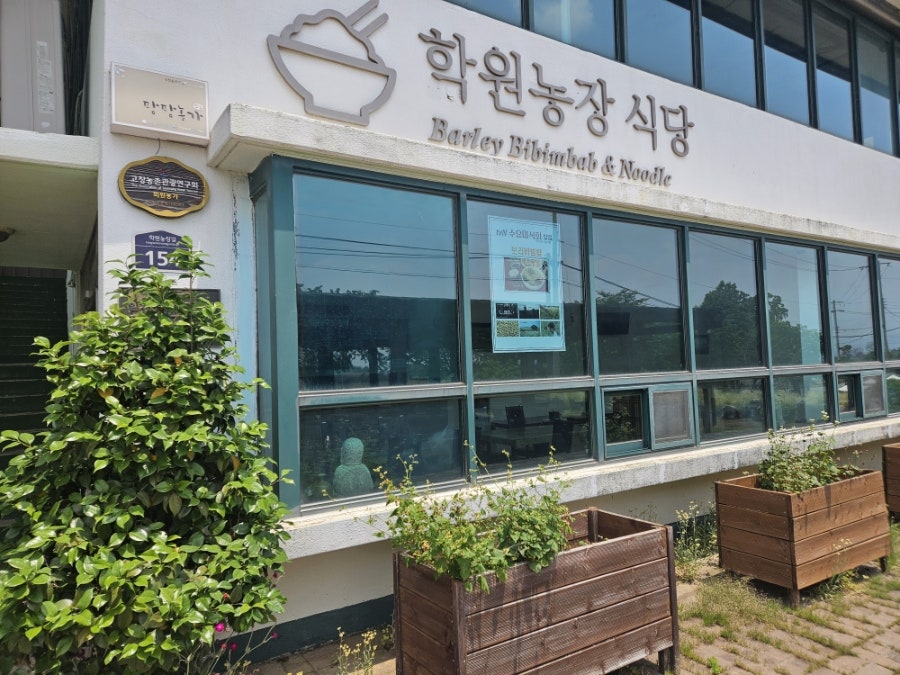 청보리가든 사진 1