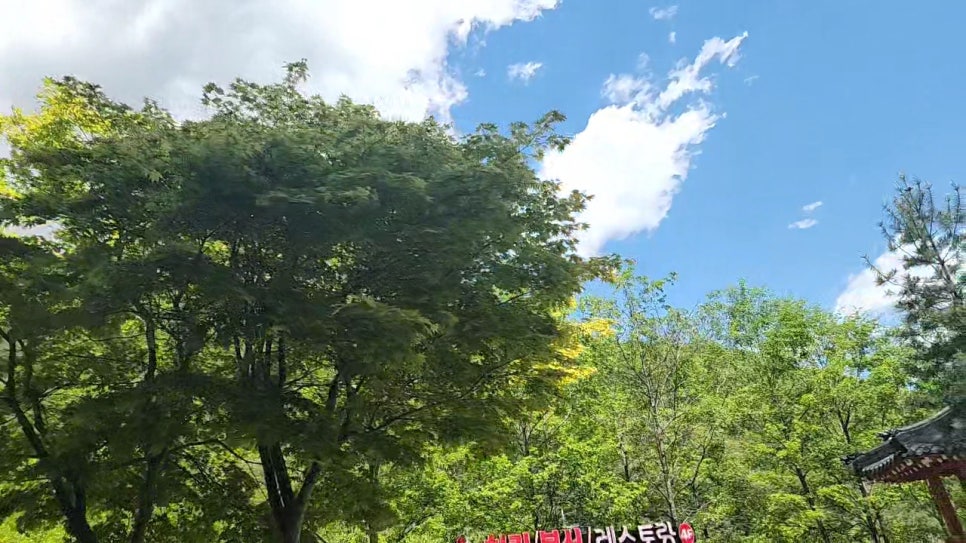 태백호텔 레스토랑 사진 1