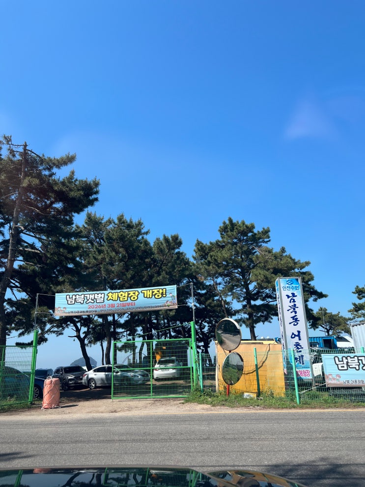  [영종도 아이와 가볼만한곳] 남북어촌체험마을 : 더 더워지기 전에 출동! 준비물 꿀팁부터 조개 가득 캐온 영종도 갯벌체험 생생 후기