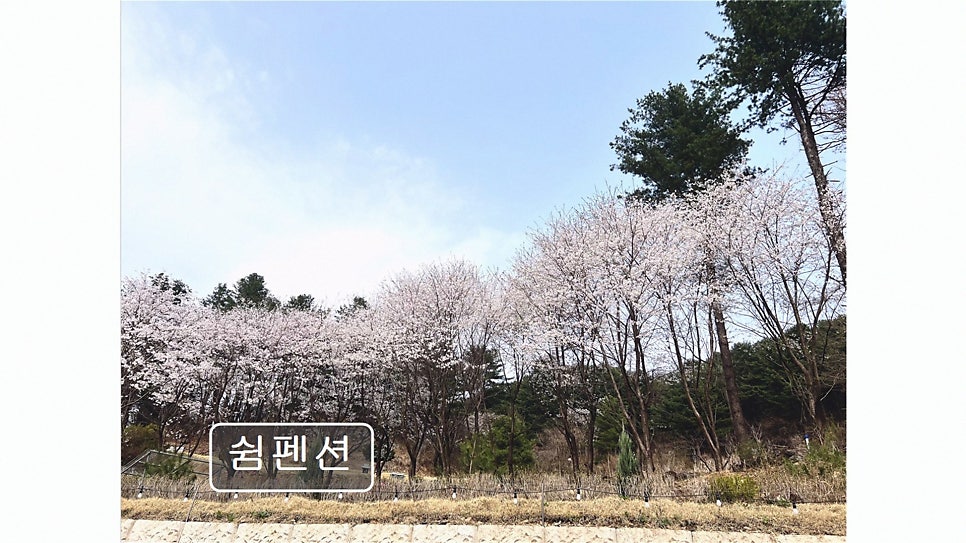 쉼펜션 사진 5