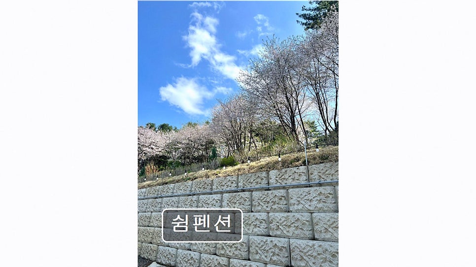 쉼펜션 사진 3