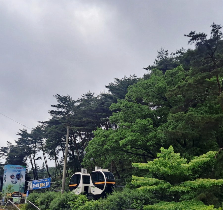 거기돈가스 사진 2