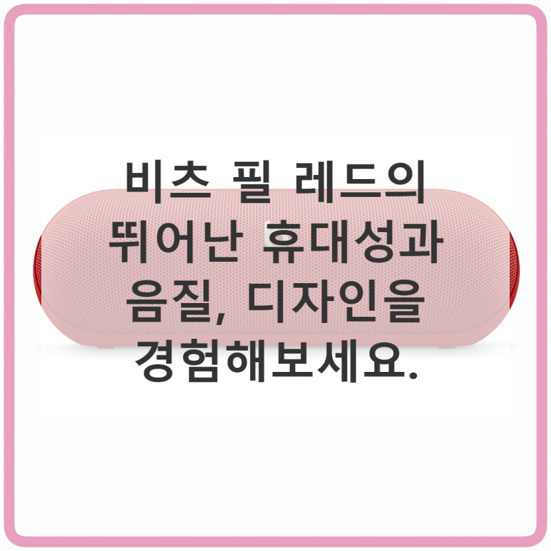 비츠 필 레드를 직접 써본 솔직 사용기