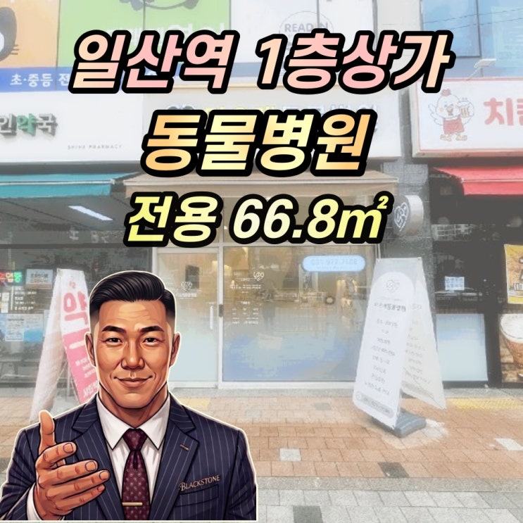  일산역 초역세권 1층 상가 경매 동물병원 2025타경5670