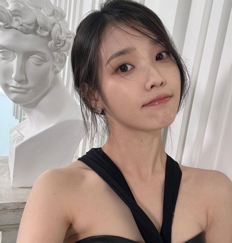 6.3 지방선거 투표용지 부족사태 속 잠실 <b>시위</b> 현장에 아이유... 