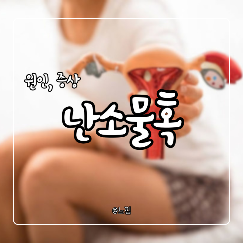 난소 물혹 낭종 증상 원인 크기 파열 수술