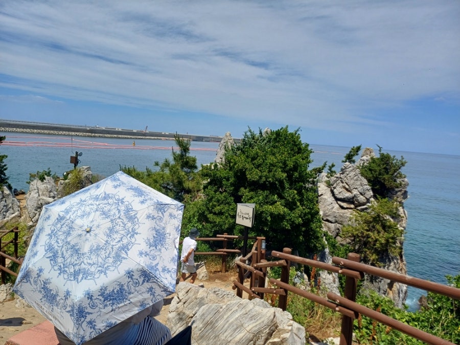 이디야커피 동해북삼점 사진 2