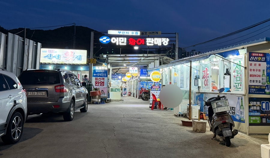 현대호 사진 1