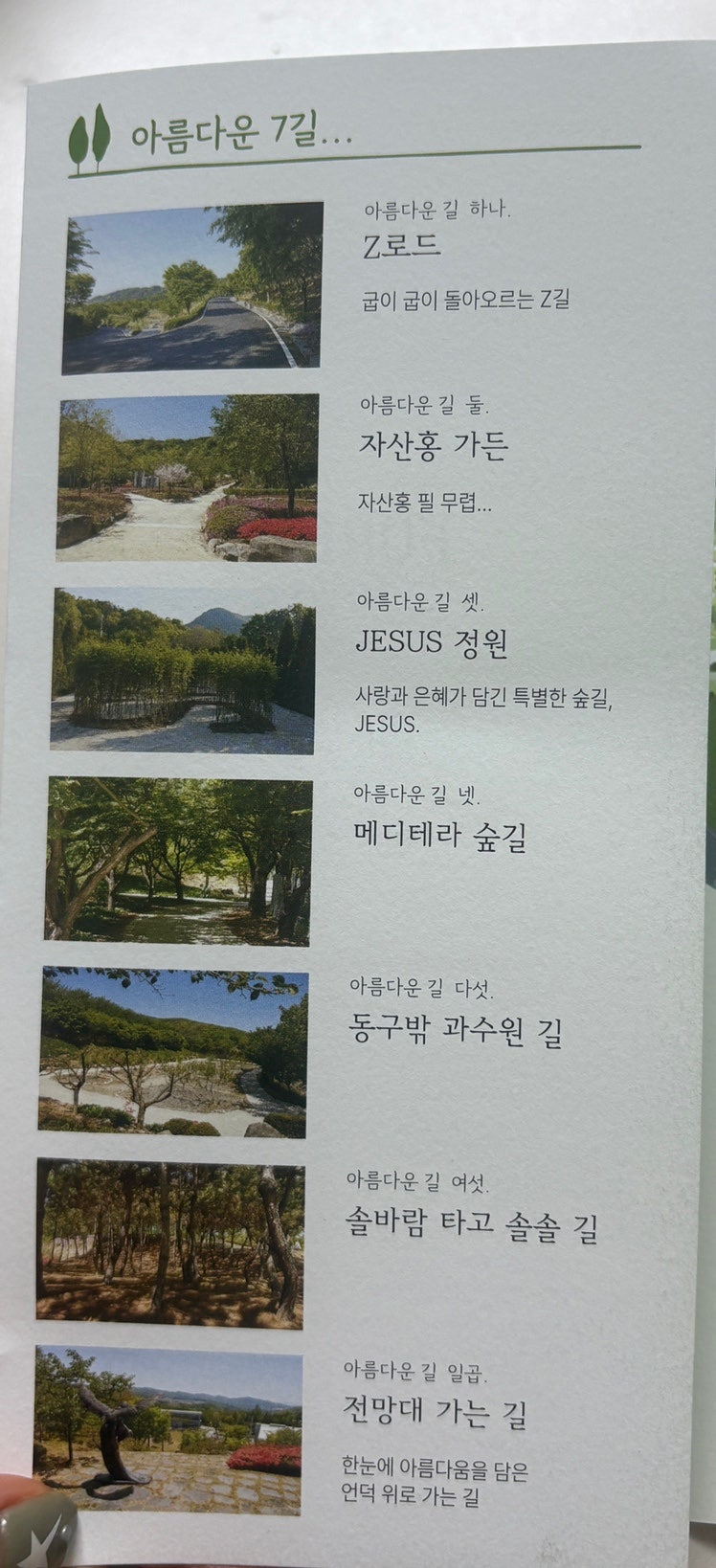 포레스트AG405 사진 6