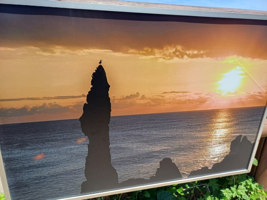 이디야커피 동해북삼점 사진 3