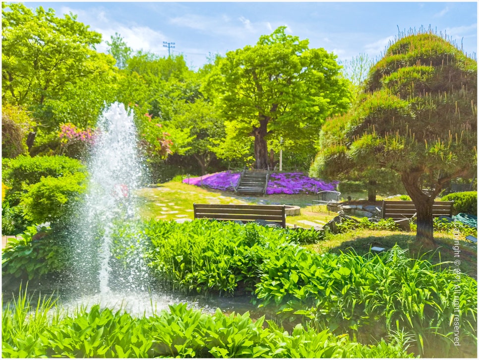 산에들에 사진 5