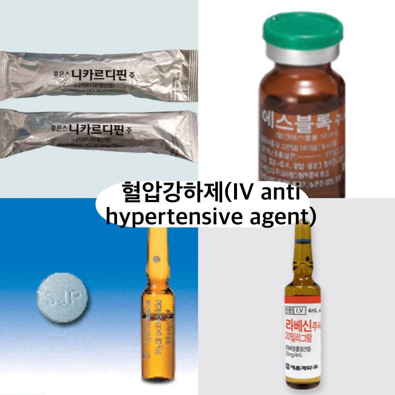 혈압강하제 (IV Antihypertensive Agents) : 네이버 블로그