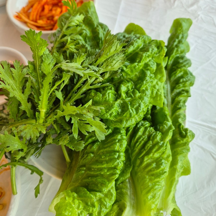든해솔 사진 6