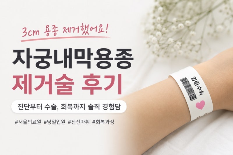 자궁내막용종 제거 자궁경 후기 | 건강검진 후 발견된 3cm 용종, 서울의료원 수술 경험