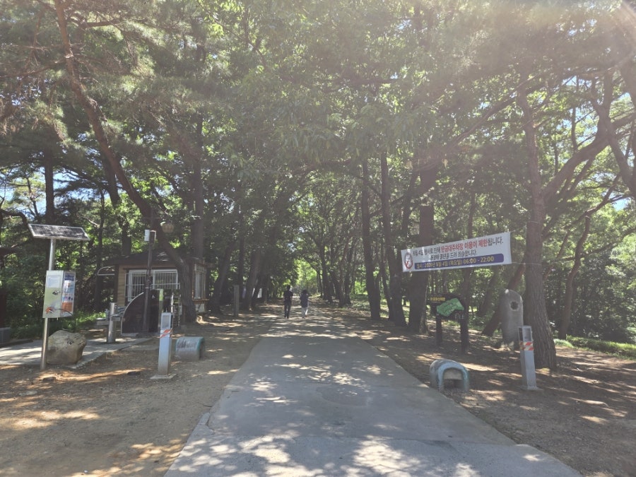 카페탄 사진 3