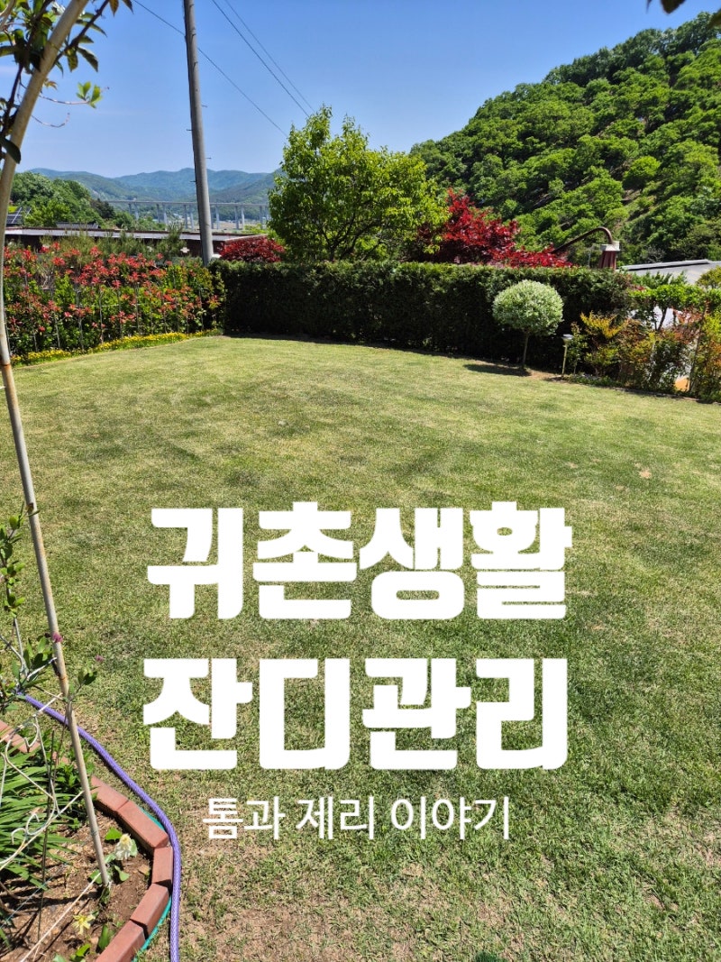 [풀과의 전쟁] 잔디정원 잡초 제거 방법: 선택성 제초제 종류와 올바른 사용법
