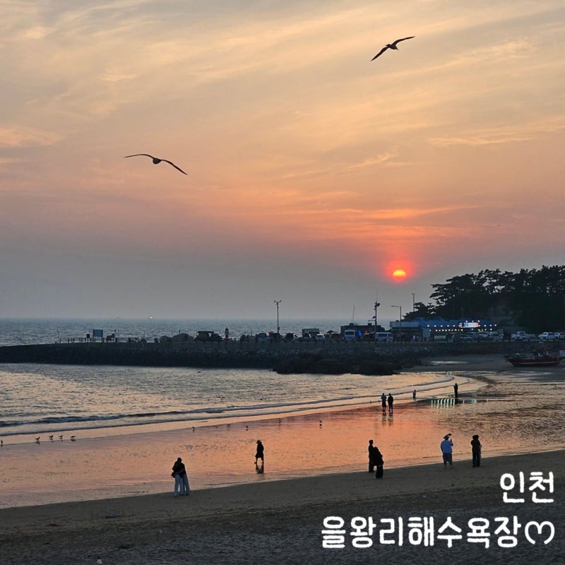 [인천] 을왕리해수욕장 노을 갈매기 새우깡주기 놀거리 인스파이어 근처 갈만한곳