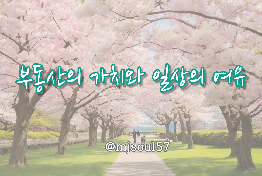 자무쉬 사진 2