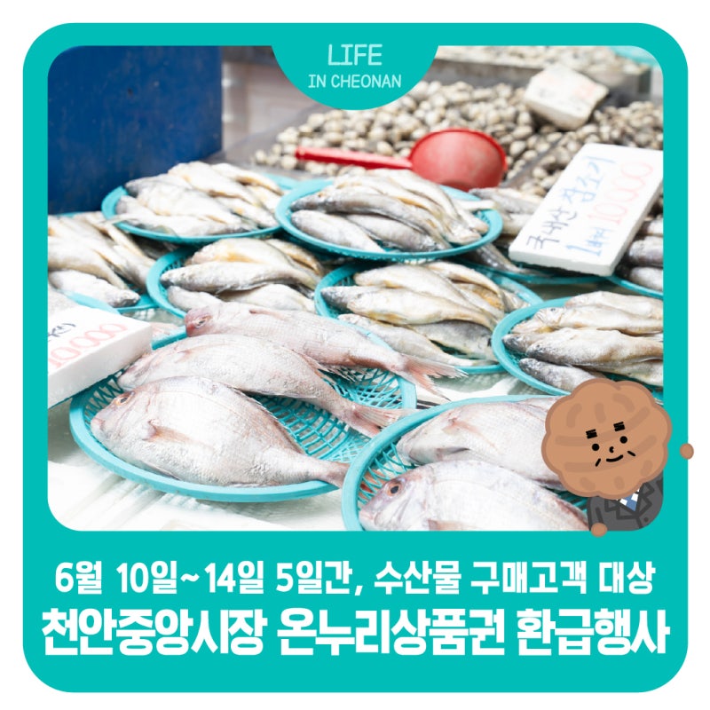 최대 30% 환급! 천안중앙시장 수산물 온누리상품권 환급행사 안내 (6월 10일~6월 14일)