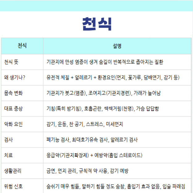 천식 기본정보