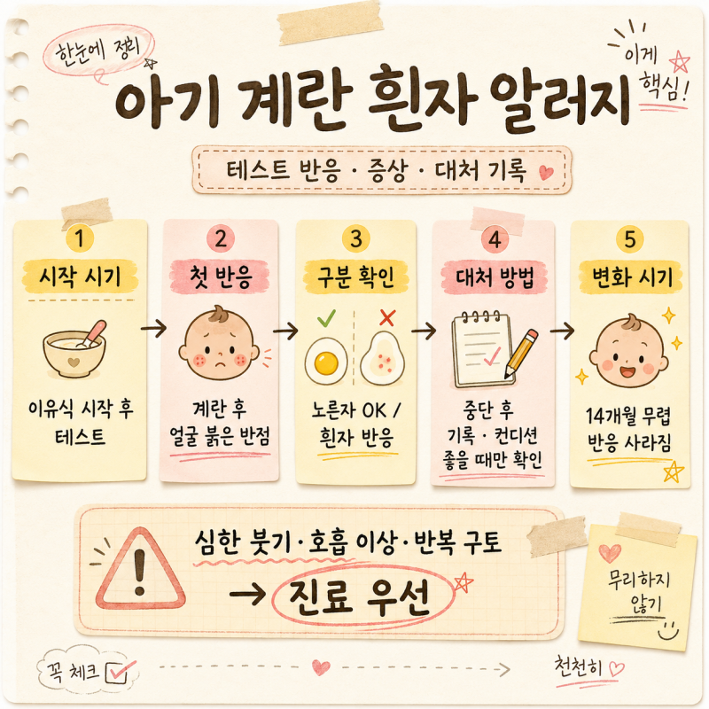 아기 계란 흰자 알러지 반응 증상 우리 아이 해결 방법