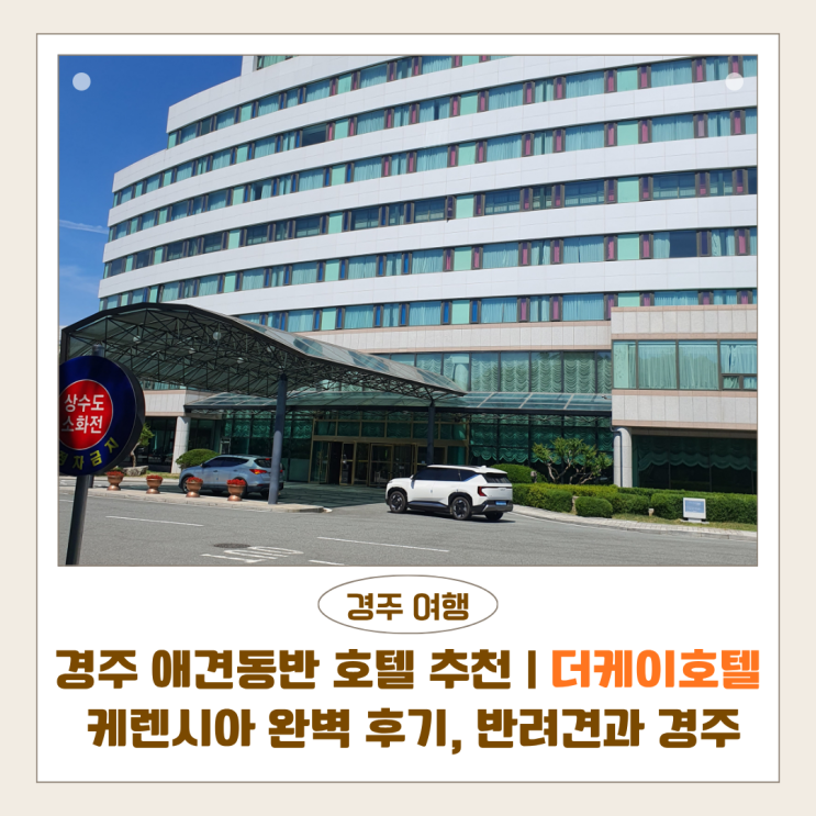  경주 더케이호텔, 케렌시아 후기 | 20평 객실의 애견동반 숙소 추천