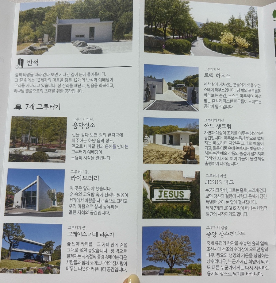 포레스트AG405 사진 5