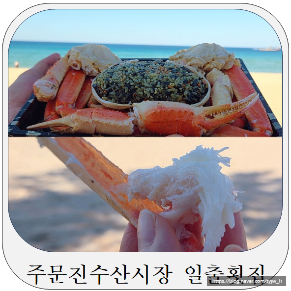 주문진수산시장포장 맛집 일출횟집, 대게회세트 실제 후기
