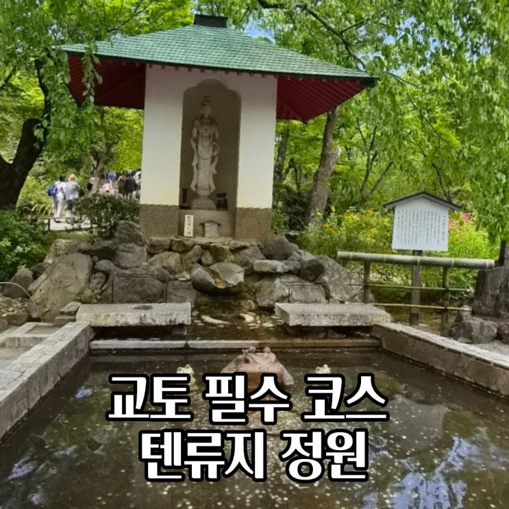  교토 아라시야마 텐류지 정원 솔직후기 여름 방문 시 준비물과 입장료 팁