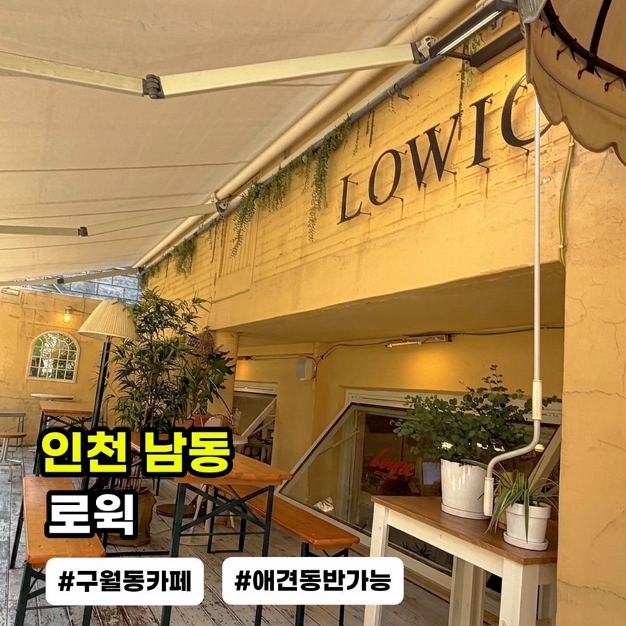 로윅 사진 1