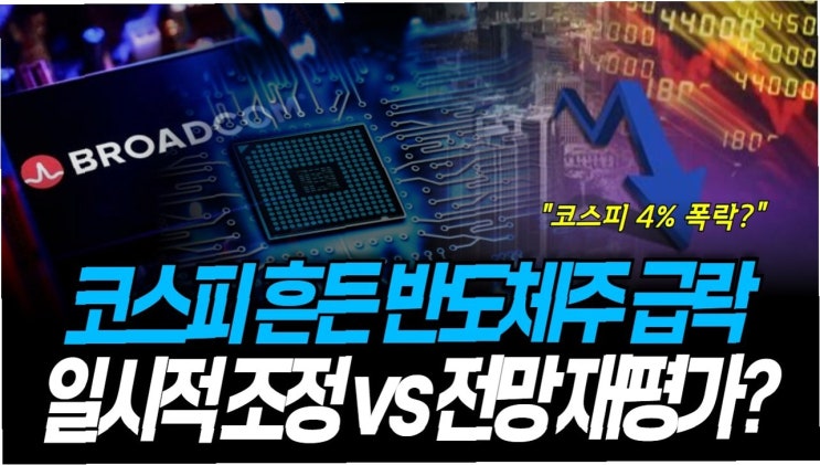 <b>엔비디아 시총</b> 2000조 <b>증발</b>, 뉴욕증시 반도체주 폭락의 충격파