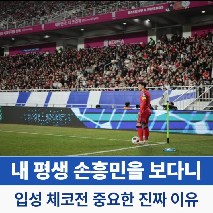 "내 평생 손흥민을 보다니" 홍명보호 <b>과달라하라</b> 입성 체코전... 